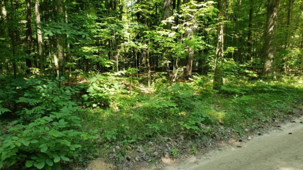 17339 Old Logging Road Hersey, MI 49639 - Photo 1 of 4 20190805_122347