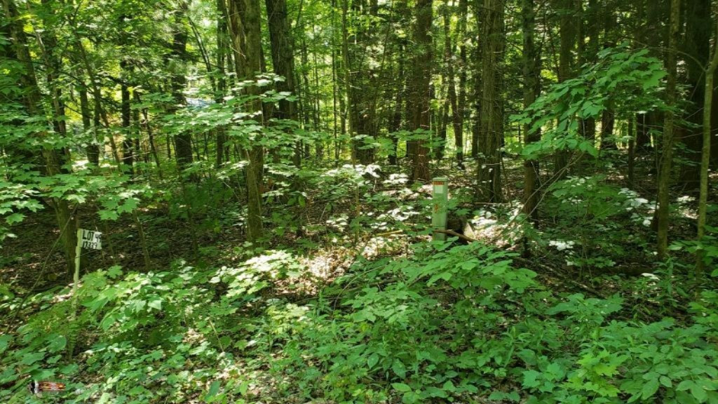 17339 Old Logging Road Hersey, MI 49639 - Photo 2 of 4 20190805_122357