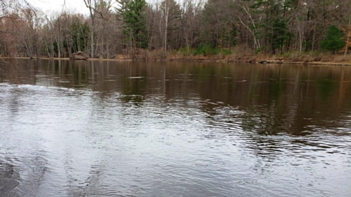 17339 Old Logging Road Hersey, MI 49639 - Photo 4 of 4 19013846