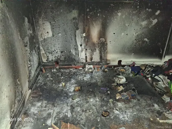 a view of lot of trees