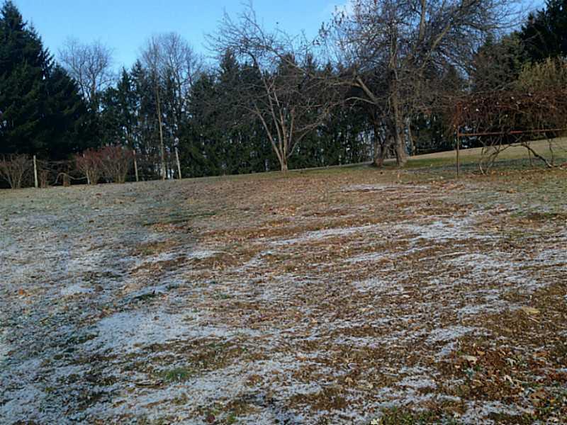 1027 Old State Road Apollo, PA 15613 - Photo 17 of 19 Land/Lot.