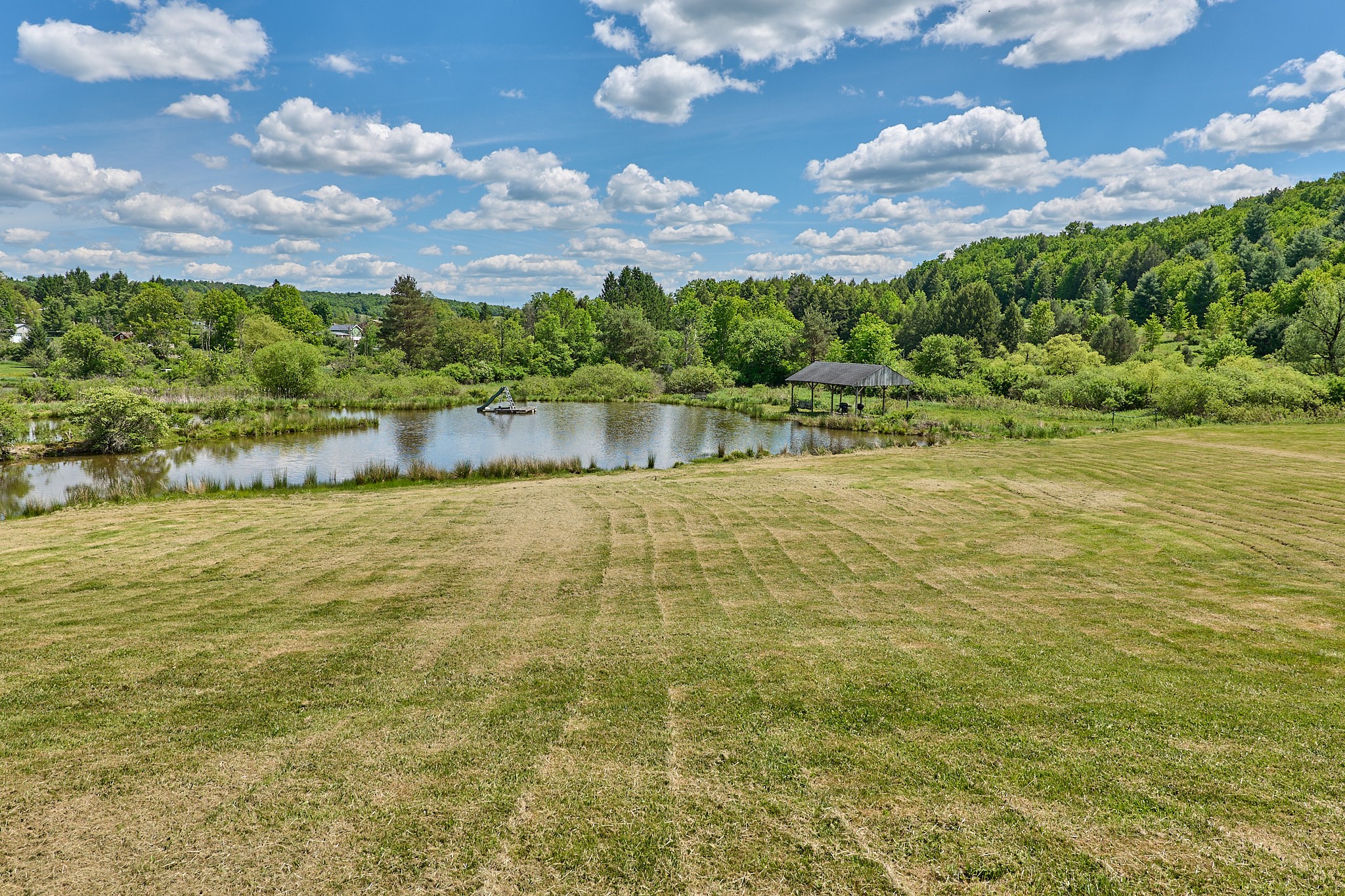 1914 Settle Road Newark Valley, NY 13811 - Photo 8 of 50