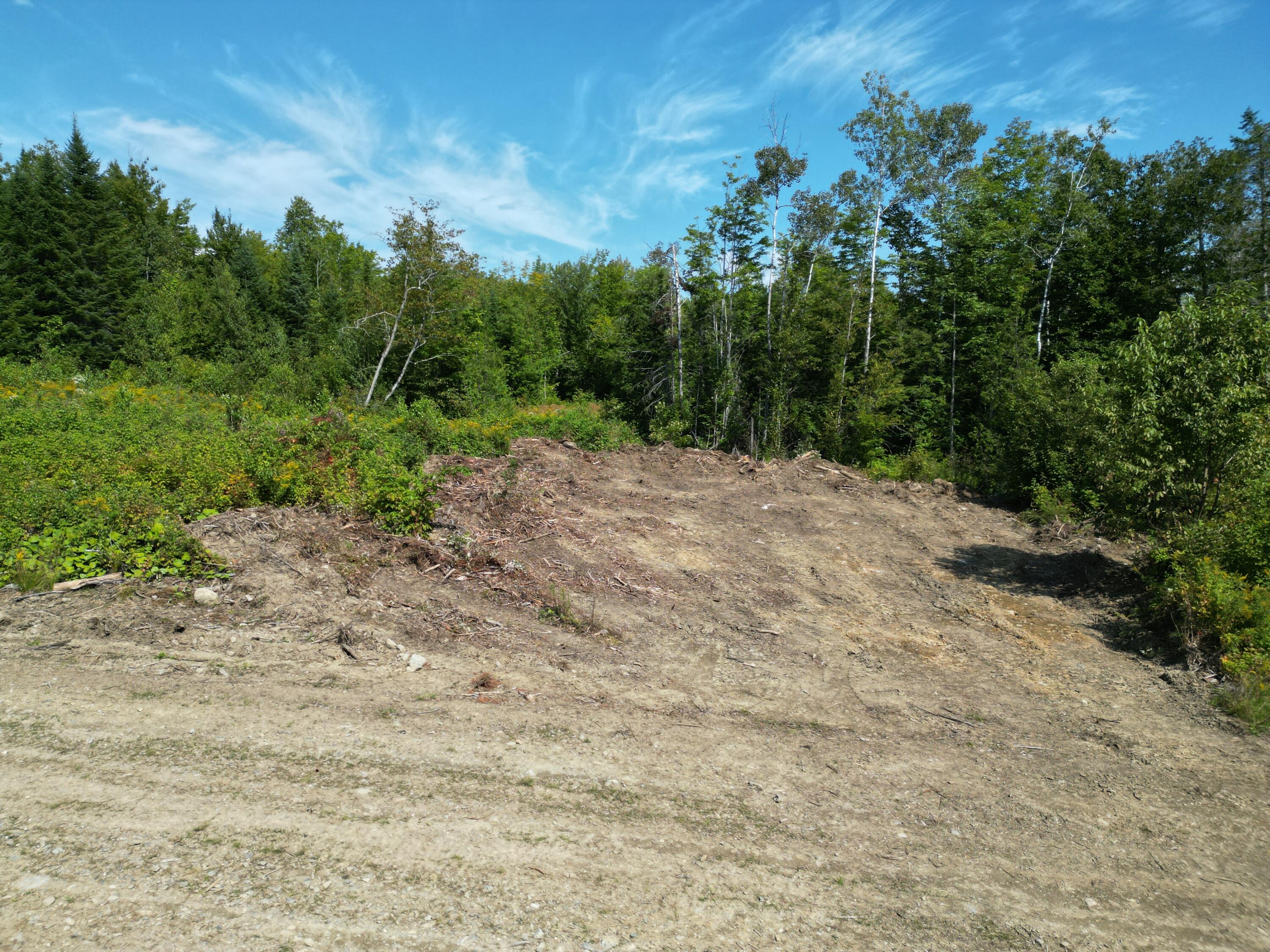 Lot 6 Dirty Glove Road Springfield, ME 04487 - Photo 7 of 21 DJI_0080