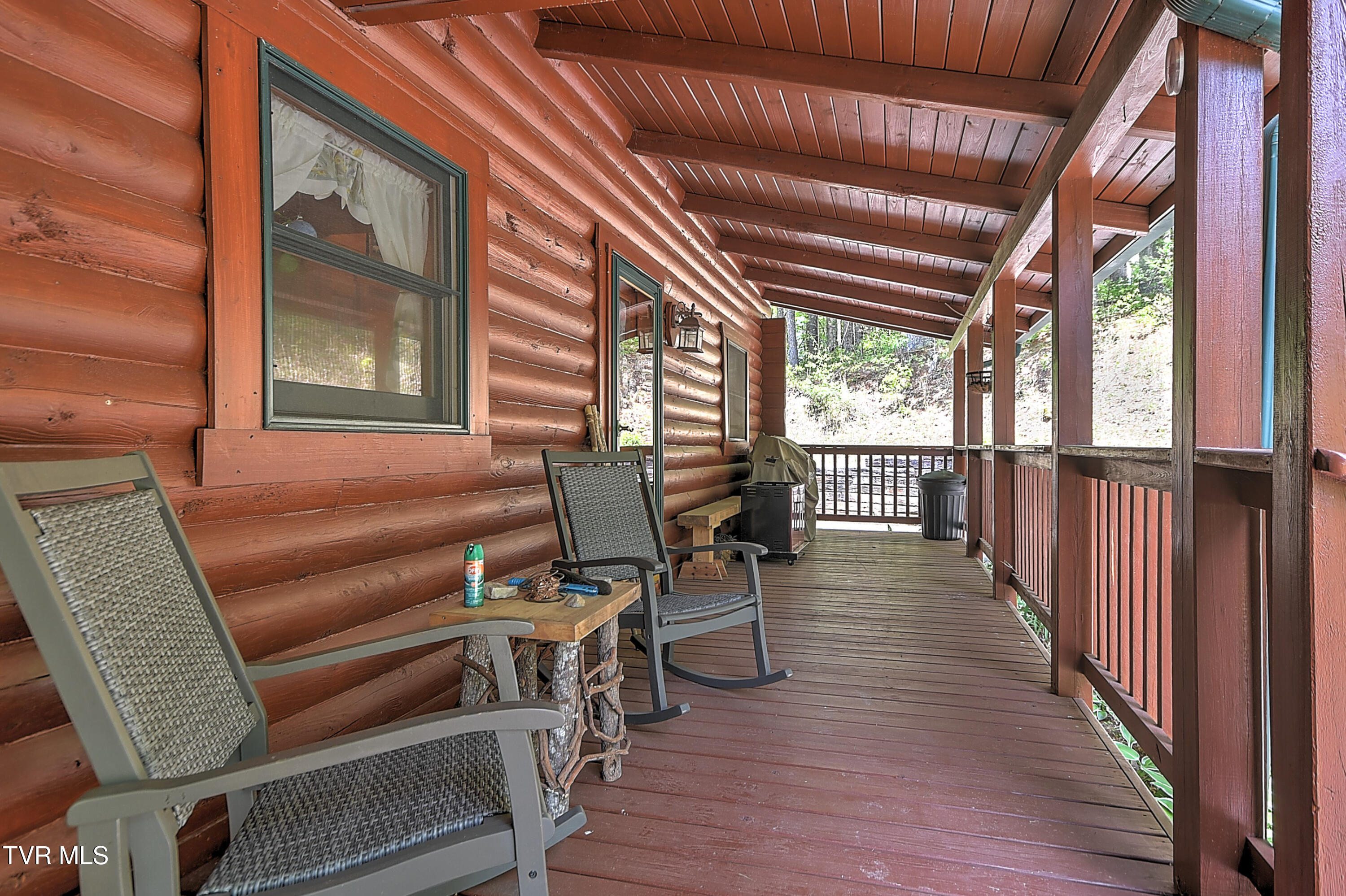 423 Pandora Fork Road Butler, TN 37640 - Photo 6 of 109 423 Pandora Fork DST-6