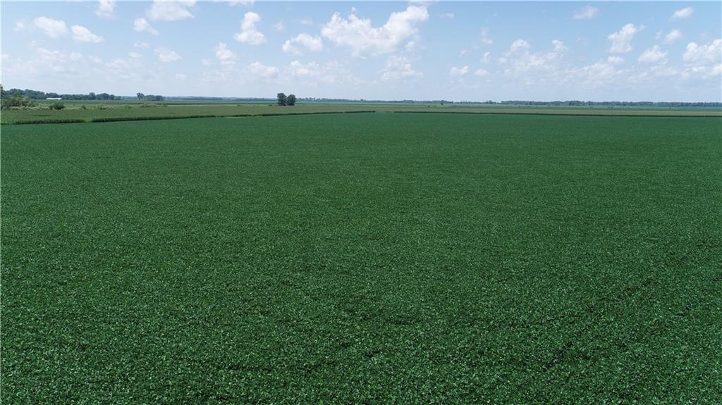 2 North Of Cranberry Bend Road Malta Bend, MO 65339 - Photo 19 of 26