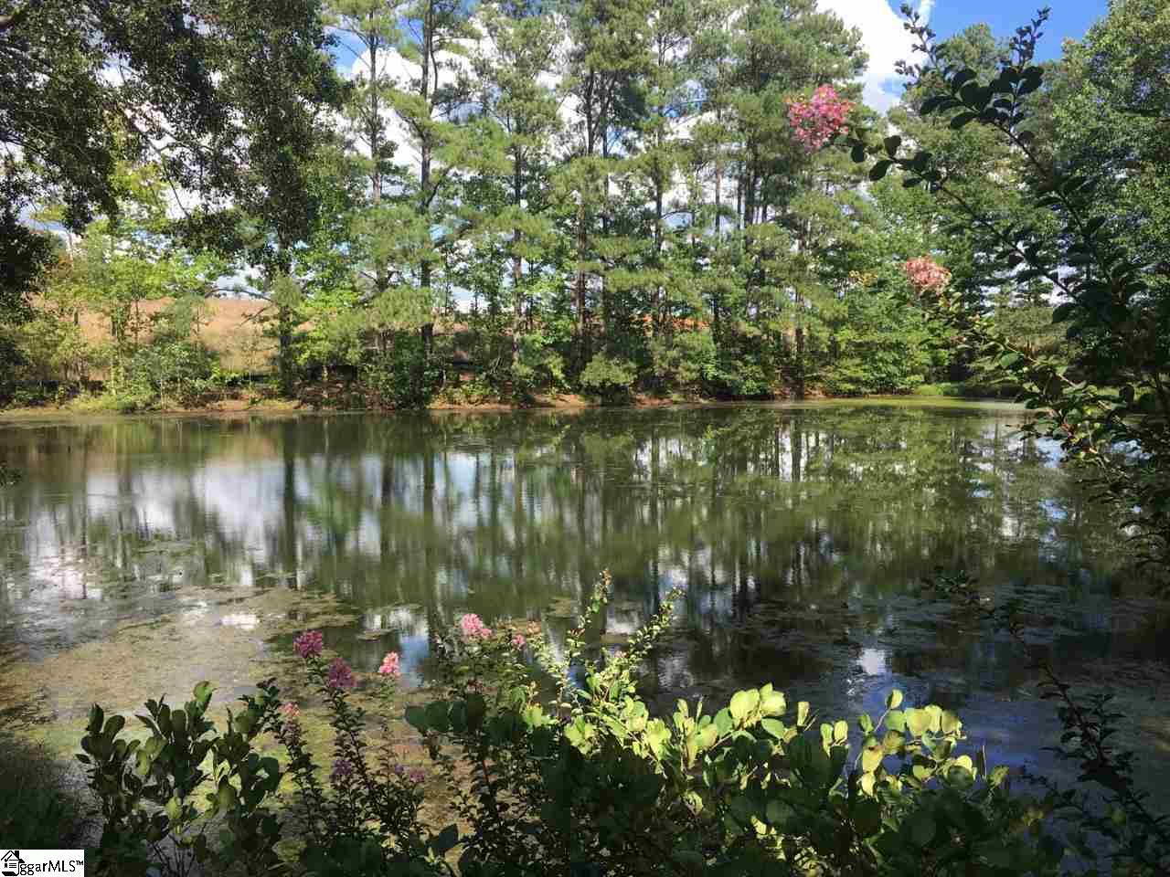 439 Reedy Fork Road Piedmont, SC 29673 - Photo 3 of 28