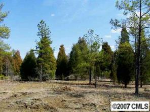 Lot B Lot B Sutton Springs Road York, SC 29745 - Photo 5 of 8 a view of a yard with trees in the background