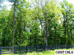 Lot B Lot B Sutton Springs Road York, SC 29745 - Photo 8 of 8 a view of a swimming pool with an outdoor space
