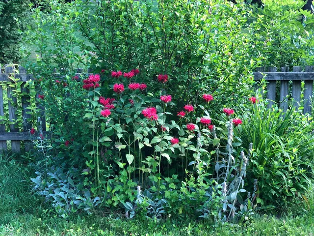 $310,000 | 8402 Tanager Lane, Indianapolis, IN 46256