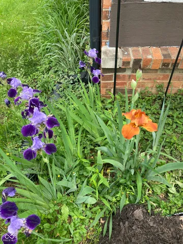 $310,000 | 8402 Tanager Lane, Indianapolis, IN 46256