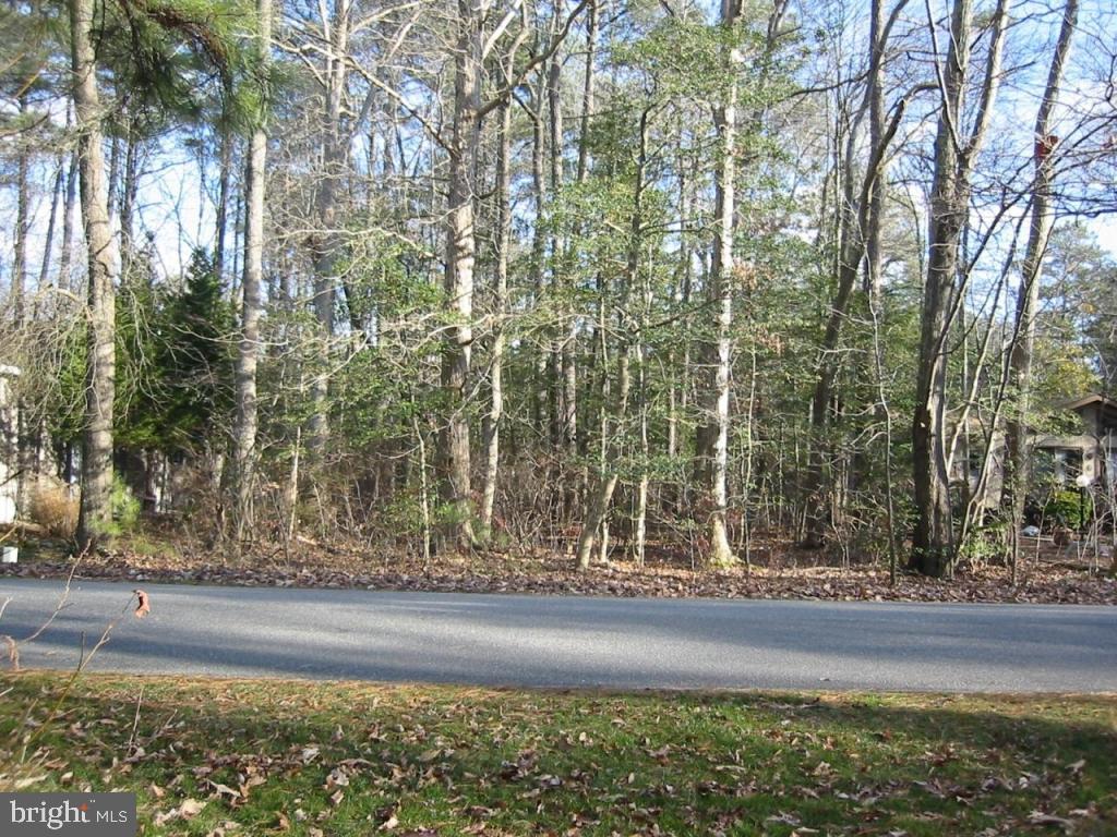 16 Beaconhill Road Ocean Pines, MD 21811 - Photo 3 of 4 a view of a yard