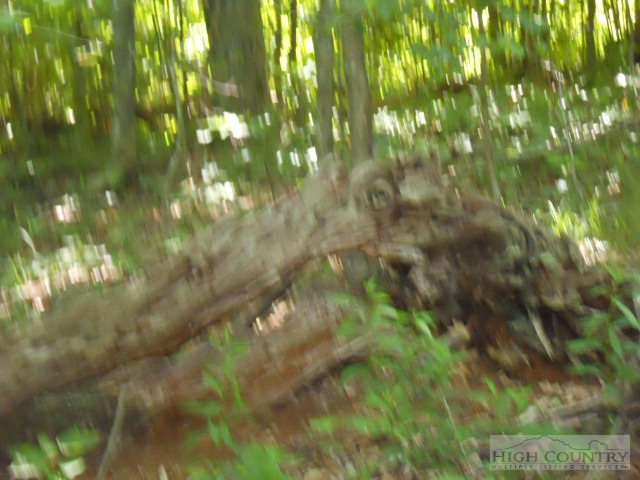 Stewart Wilcox Road Todd, NC 28684 - Photo 11 of 12 Gallery Image 11