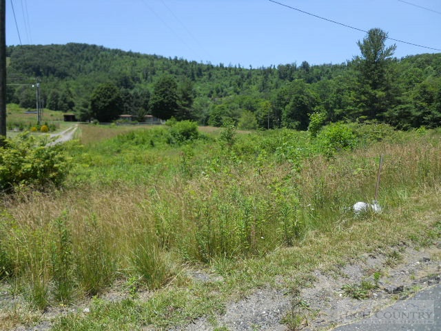 Stewart Wilcox Road Todd, NC 28684 - Photo 5 of 12 Gallery Image 5