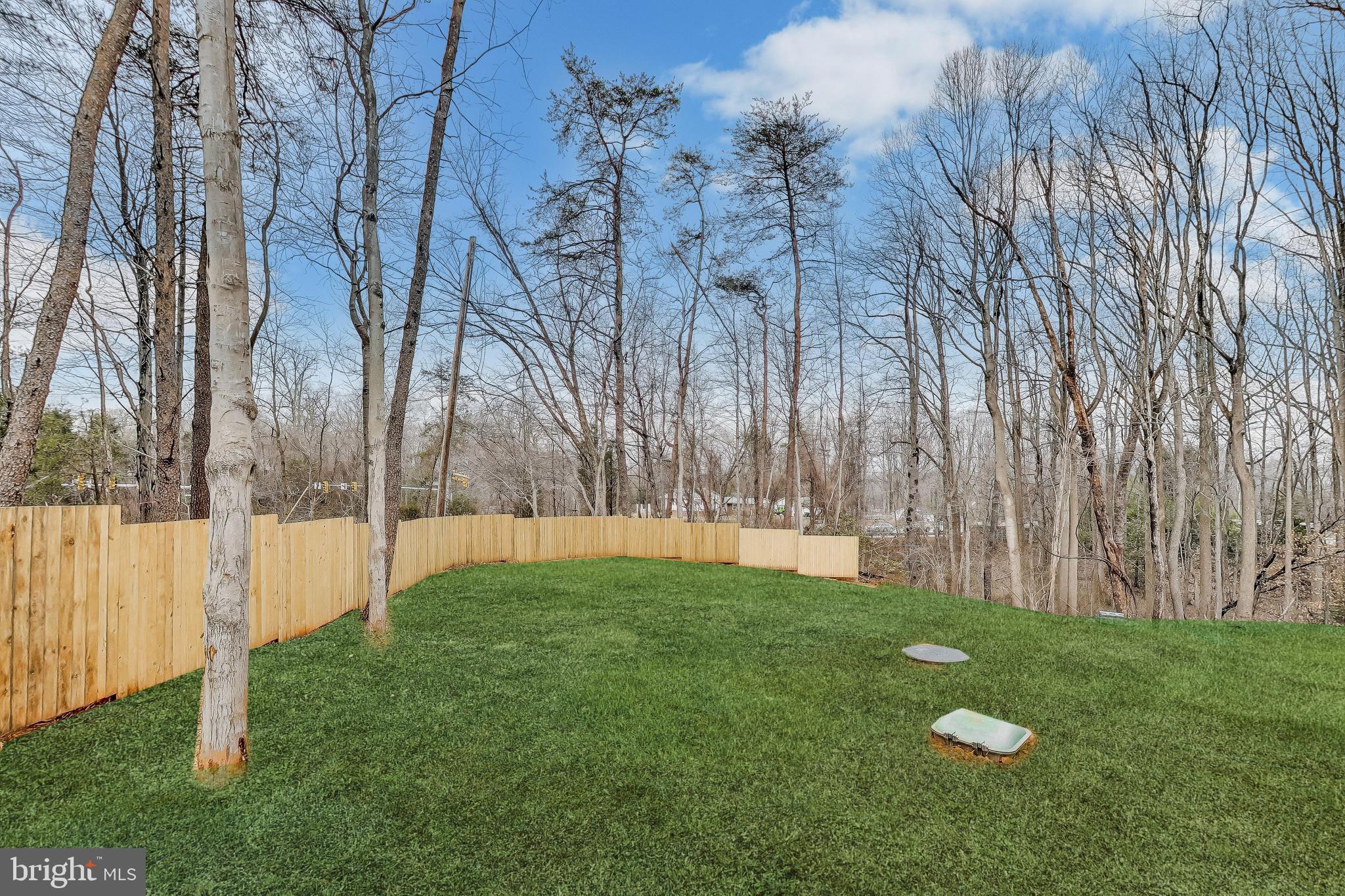 6634 Davis Ford Road Manassas, VA 20111 - Photo 107 of 120 a view of a backyard with large trees