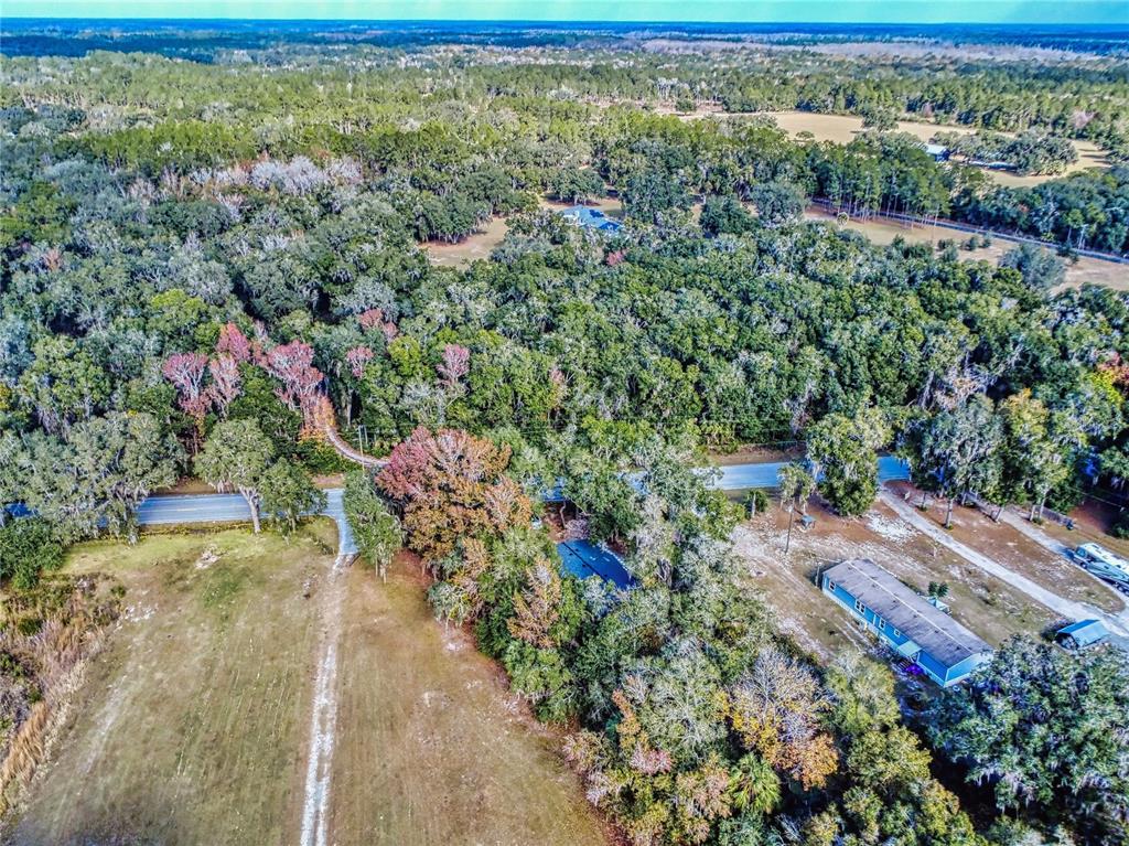 4300 Northeast 175th Street Road Citra, FL 32113 - Photo 40 of 62