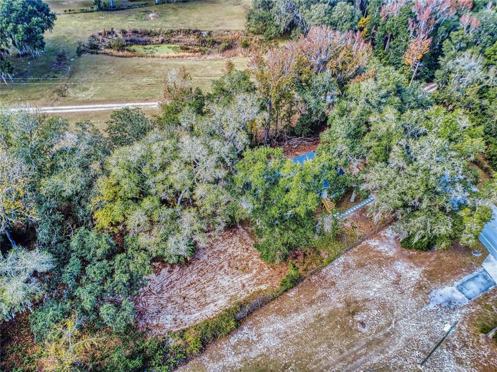 4300 Northeast 175th Street Road Citra, FL 32113 - Photo 43 of 62