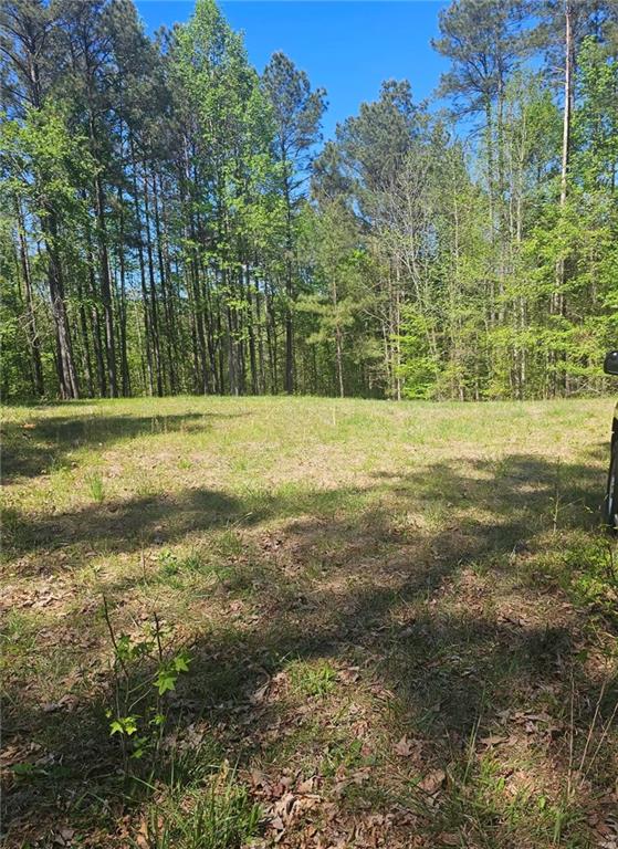 1041 Pintail Lane Madison, GA 30650 - Photo 1 of 6