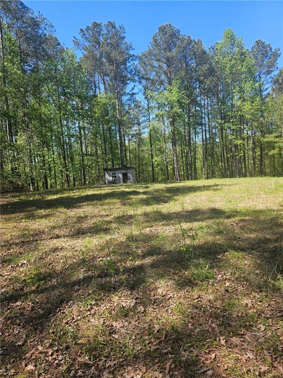 1041 Pintail Lane Madison, GA 30650 - Photo 3 of 6