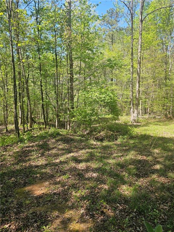 1041 Pintail Lane Madison, GA 30650 - Photo 4 of 6