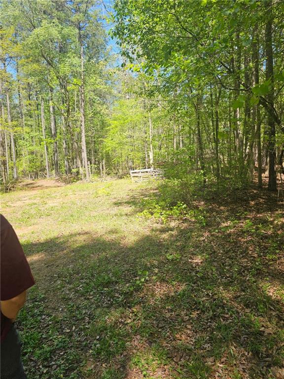 1041 Pintail Lane Madison, GA 30650 - Photo 5 of 6