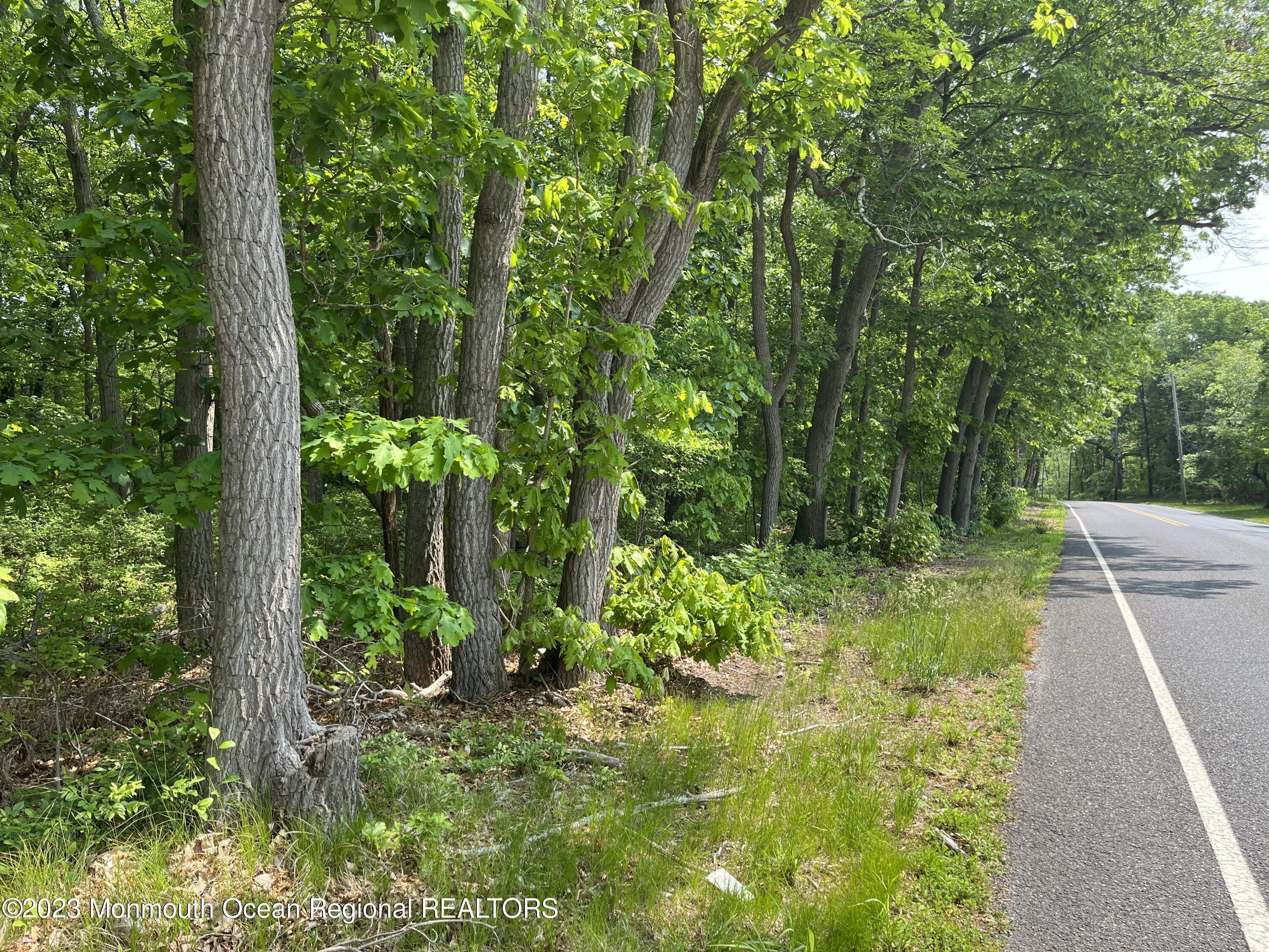 0 Hulses Corner Road Howell, NJ 07731 - Photo 1 of 2 IMG_8528