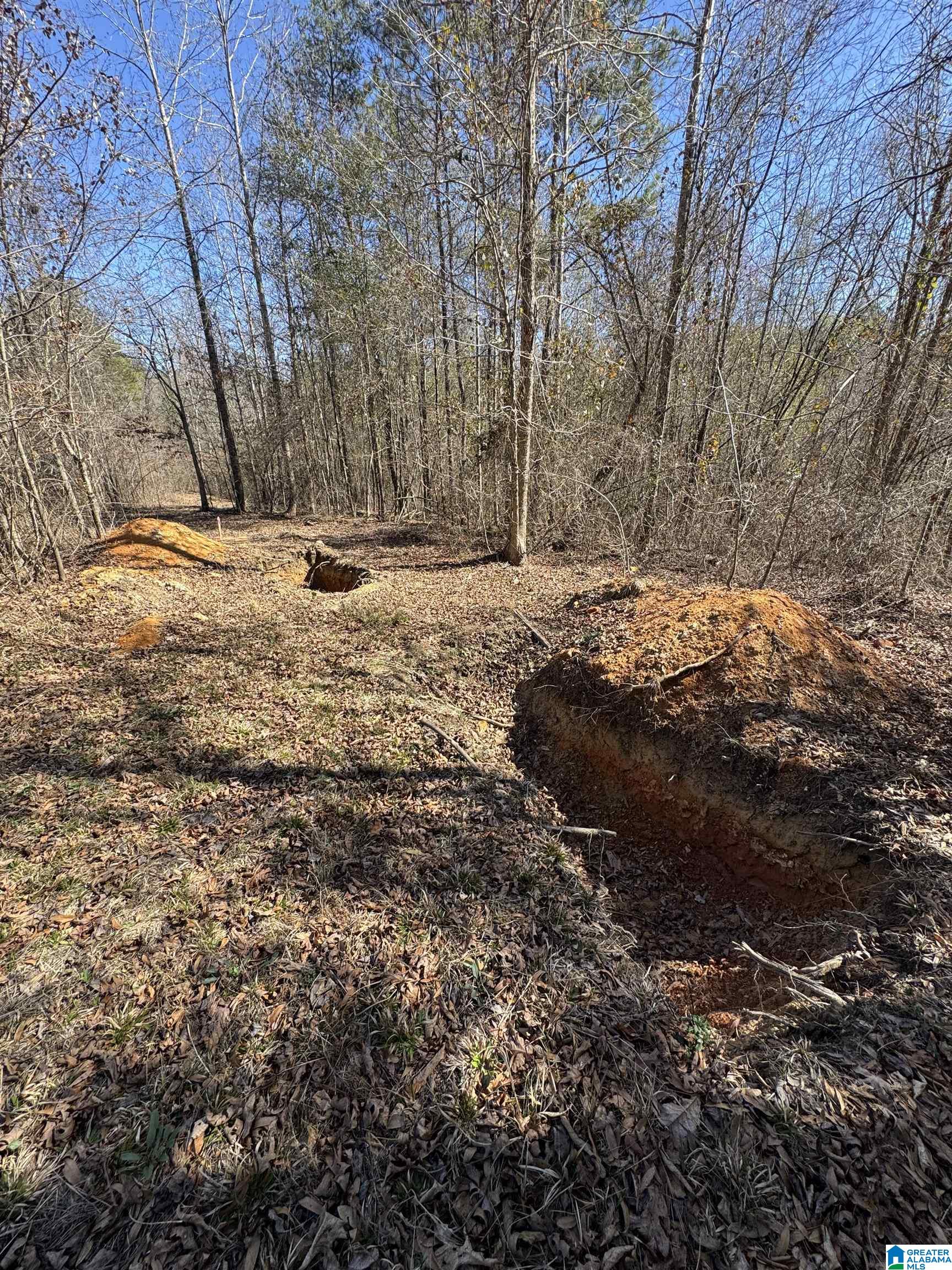 19063 Westside Road, Unit 6 Brookwood, AL 35444 - Photo 4 of 25