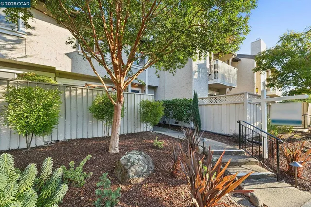 a view of a house with backyard and tree