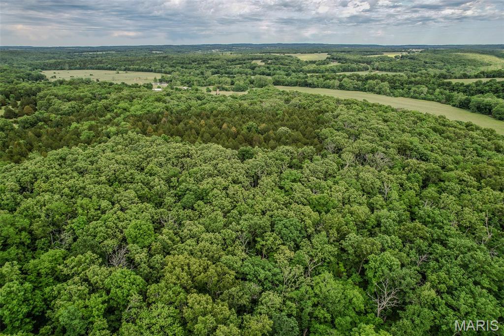 Tbd Shepherd Road Richland, MO 65556 - Photo 11 of 29