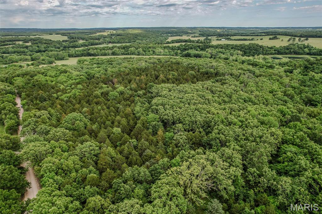 Tbd Shepherd Road Richland, MO 65556 - Photo 13 of 29