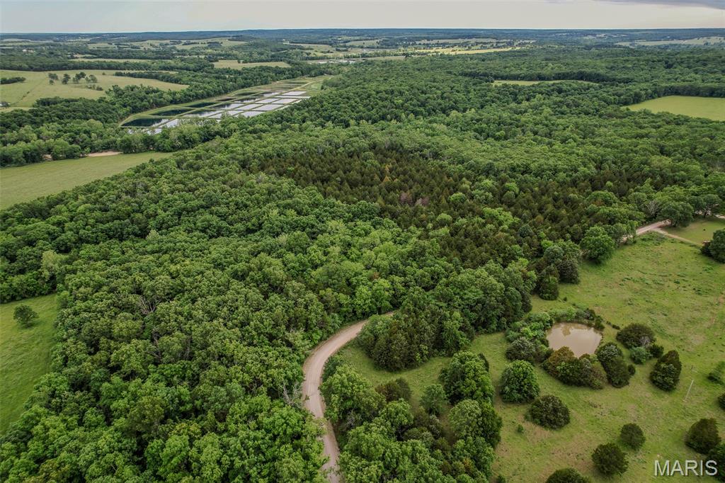 Tbd Shepherd Road Richland, MO 65556 - Photo 16 of 29