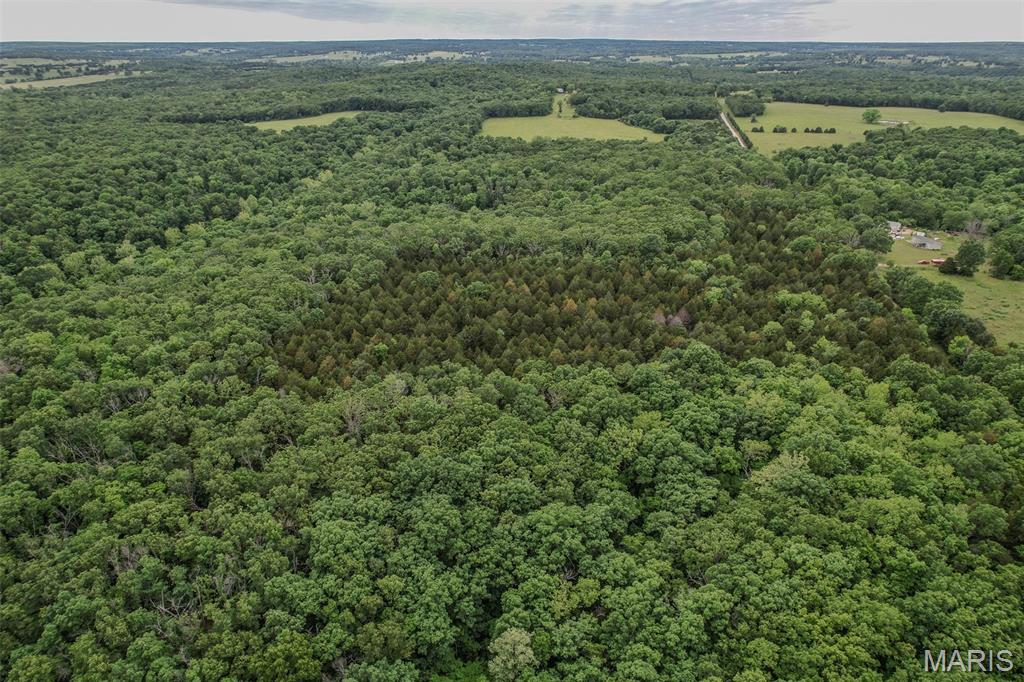 Tbd Shepherd Road Richland, MO 65556 - Photo 17 of 29