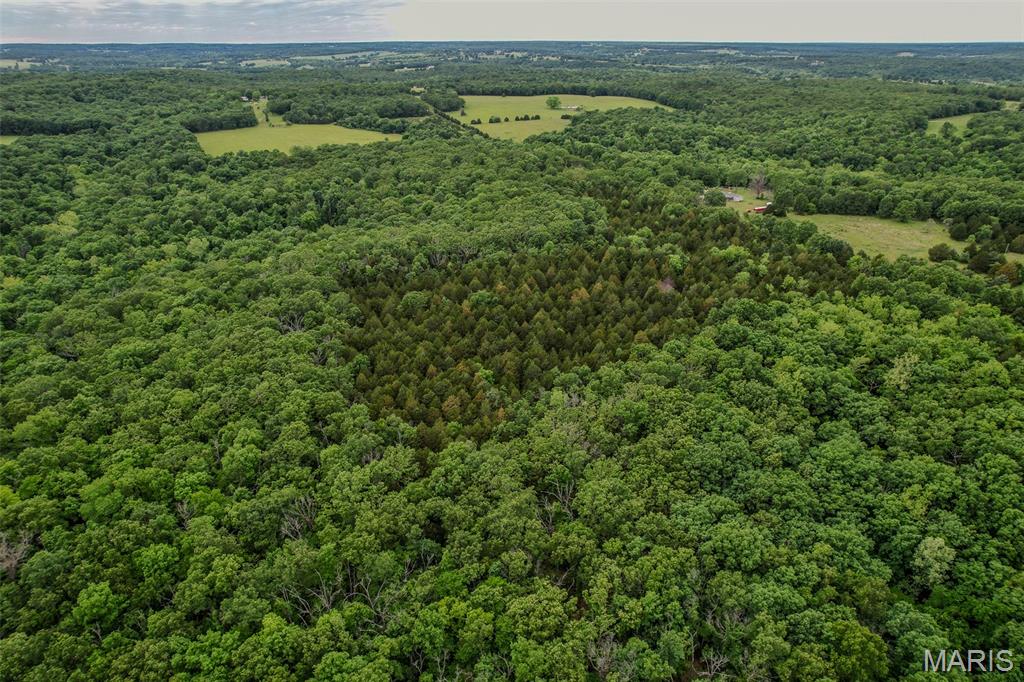 Tbd Shepherd Road Richland, MO 65556 - Photo 18 of 29