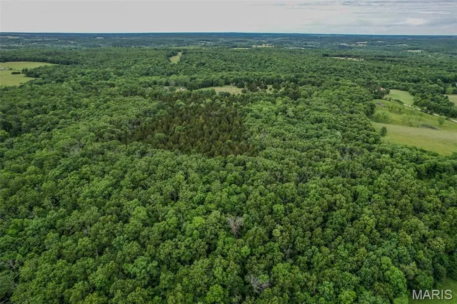 $160,000 | Tbd Shepherd Road, Richland, MO 65556