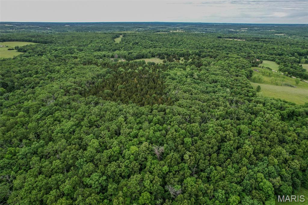 Tbd Shepherd Road Richland, MO 65556 - Photo 19 of 29