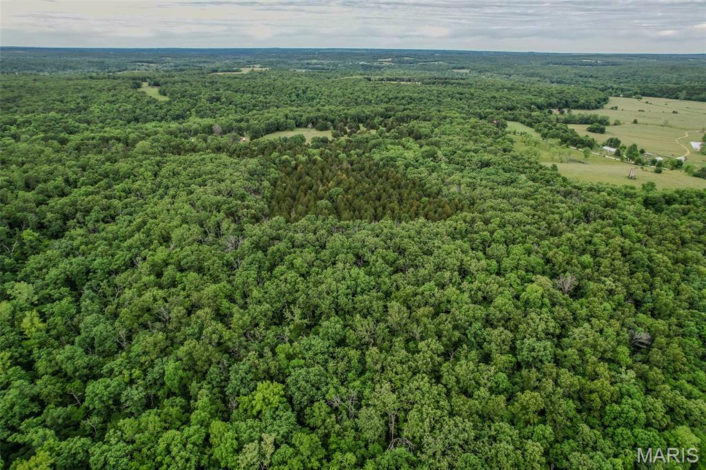 Tbd Shepherd Road Richland, MO 65556 - Photo 20 of 29