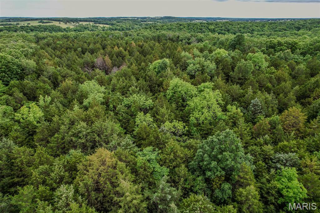 Tbd Shepherd Road Richland, MO 65556 - Photo 2 of 29