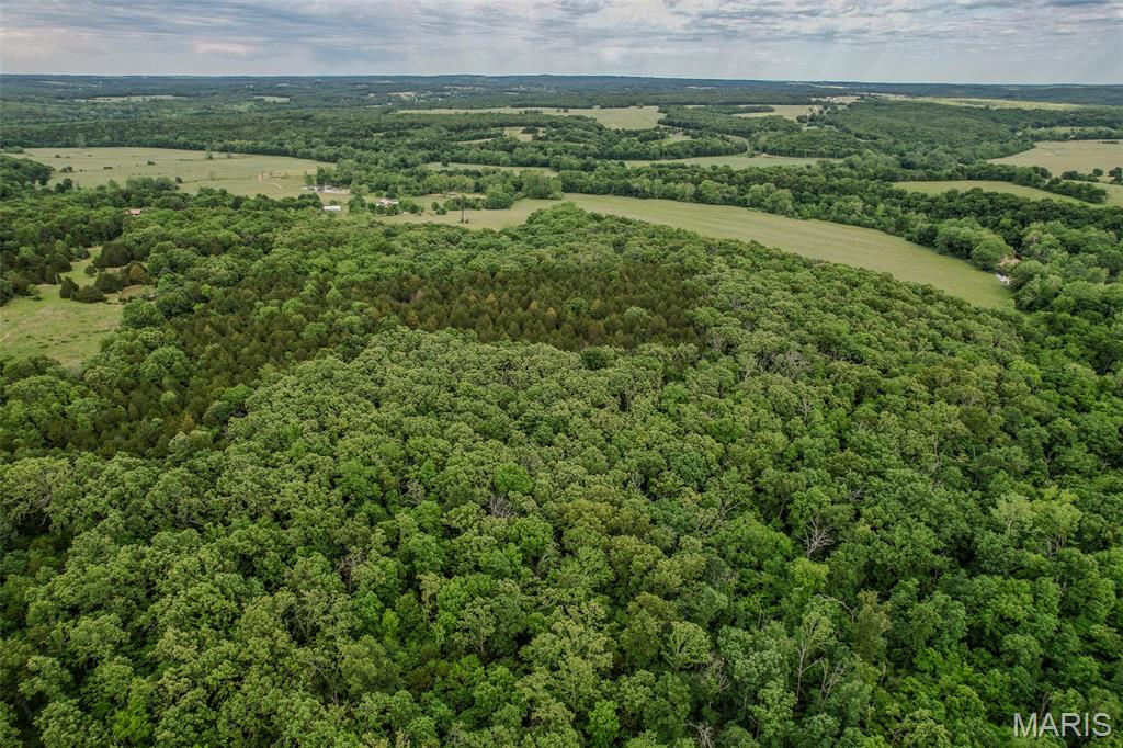 Tbd Shepherd Road Richland, MO 65556 - Photo 22 of 29