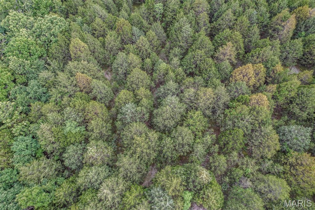 Tbd Shepherd Road Richland, MO 65556 - Photo 25 of 29