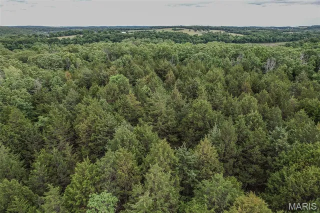 $160,000 | Tbd Shepherd Road, Richland, MO 65556