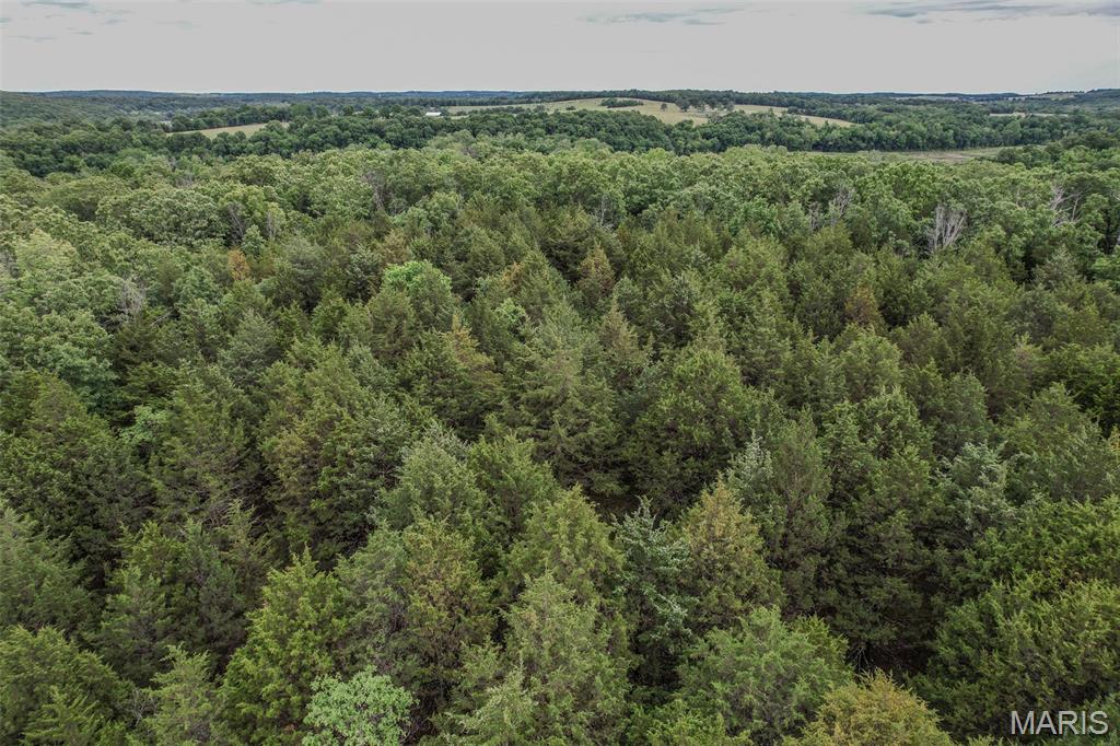 Tbd Shepherd Road Richland, MO 65556 - Photo 26 of 29