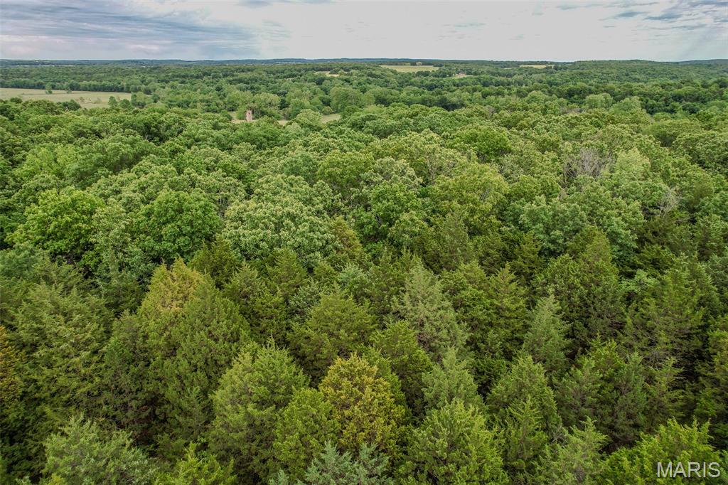 Tbd Shepherd Road Richland, MO 65556 - Photo 27 of 29