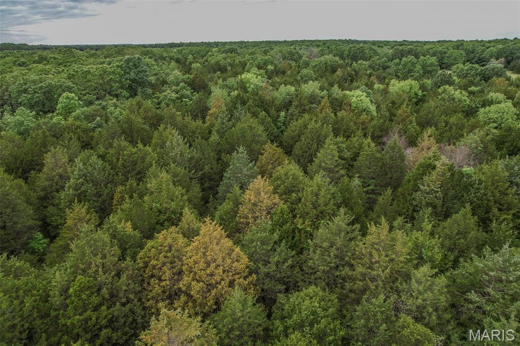 Tbd Shepherd Road Richland, MO 65556 - Photo 28 of 29