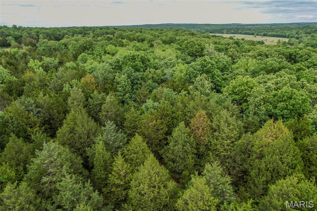 Tbd Shepherd Road Richland, MO 65556 - Photo 29 of 29