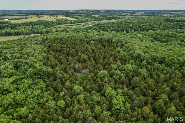 $160,000 | Tbd Shepherd Road, Richland, MO 65556