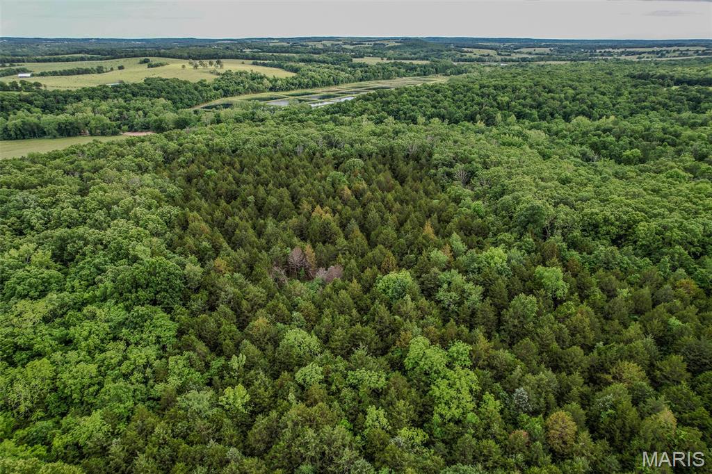 Tbd Shepherd Road Richland, MO 65556 - Photo 3 of 29