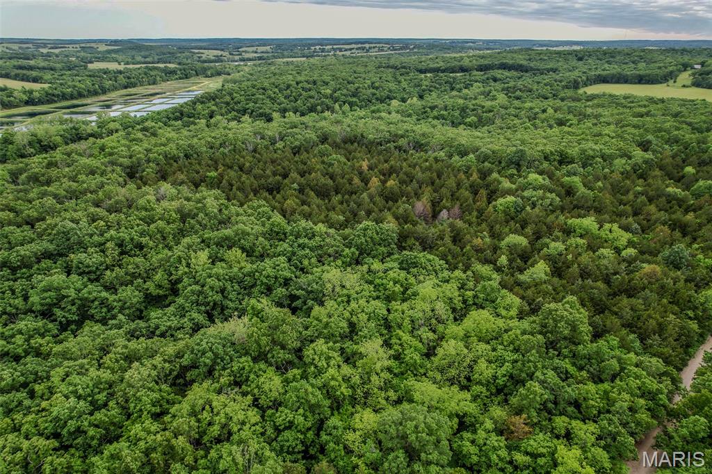 Tbd Shepherd Road Richland, MO 65556 - Photo 4 of 29