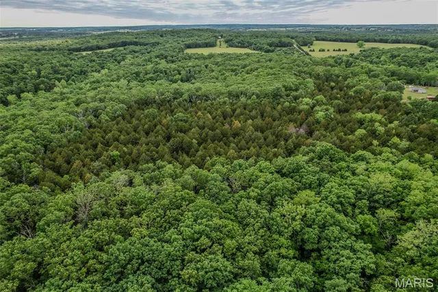 $160,000 | Tbd Shepherd Road, Richland, MO 65556