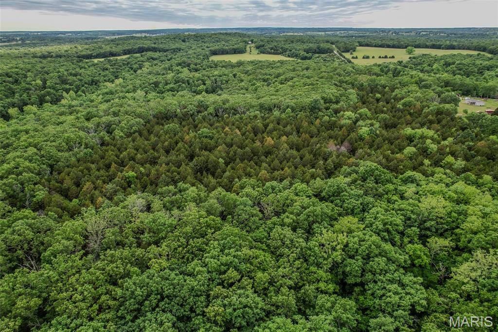 Tbd Shepherd Road Richland, MO 65556 - Photo 5 of 29