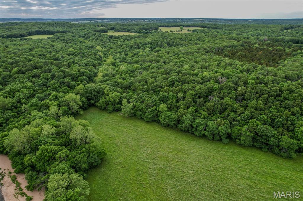 Tbd Shepherd Road Richland, MO 65556 - Photo 6 of 29