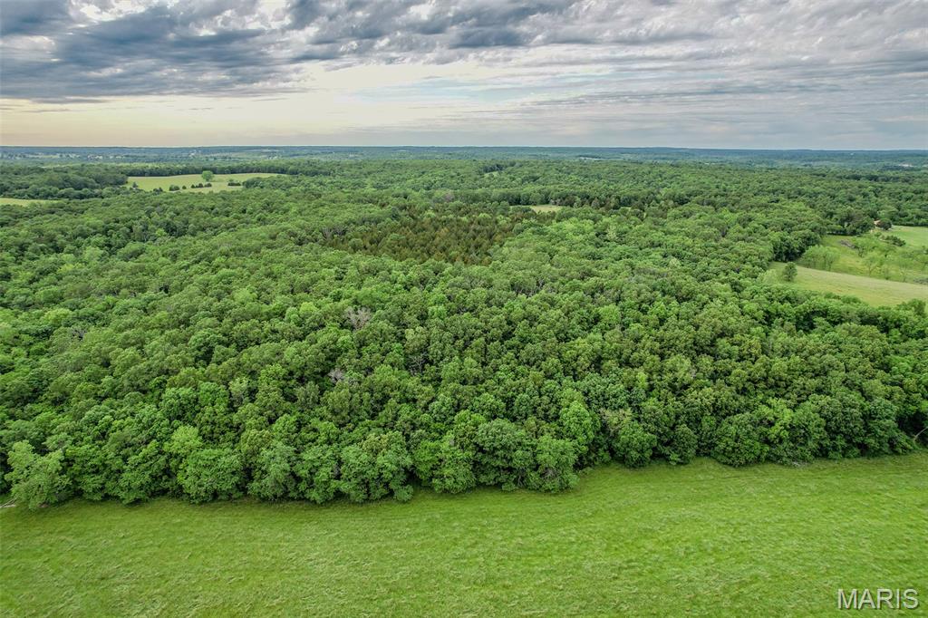 Tbd Shepherd Road Richland, MO 65556 - Photo 7 of 29